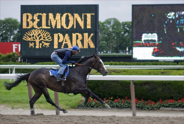 Belmont Park Horse Racing
