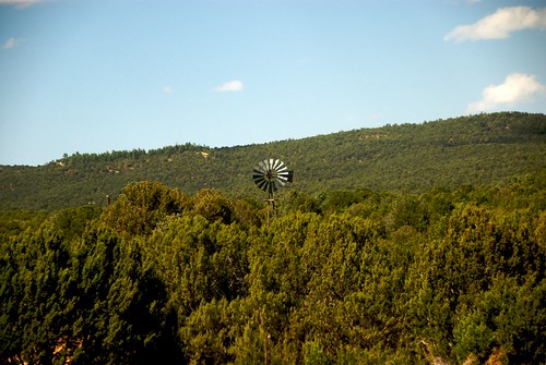 trees newmexico windmill train amtrak nm blanchard southernchief