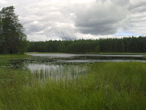 lake nature forest finland salo teijo perniö mathildedal pernio