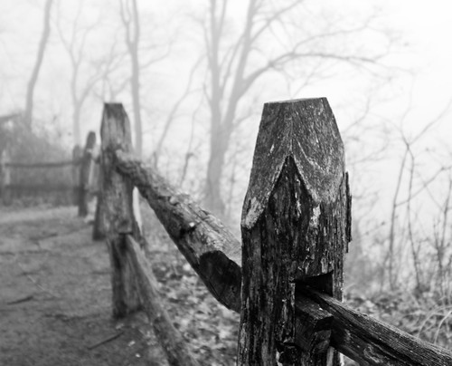 morning trees mist nature fog fence virginia wideangle tokina1224 tokina fencepost stateparks d300 leesylvaniastatepark virginiastateparks