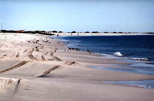 Parque Nacional do Banco de Arguim, Mauritânia