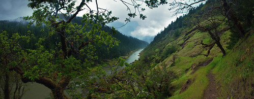 fog oregon river landscape rouge woods hiking or trail portfolio