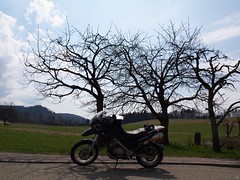 Moped mit Schwarzwald-Idylle