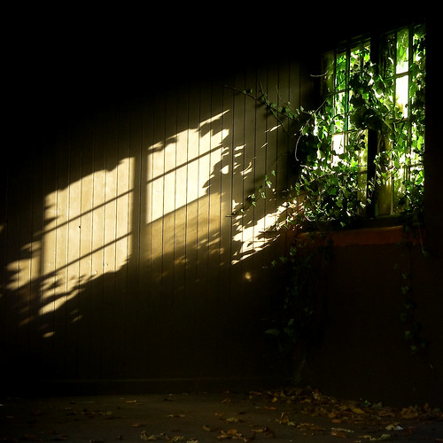 light shadow sun london window shelter croydon valerie march09 nikoncoolpixs10 pearceval 15challengeswinner parkhillpark