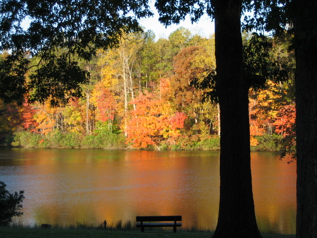 An golden sunset over Goodwin Lake at Twin Lakes State Park in the Autumn, Virginia
