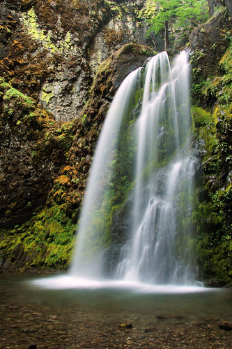 oregon waterfall fallcreekfalls umpquanationalforest