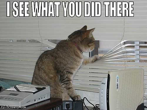 I See What You did There - LOLCats