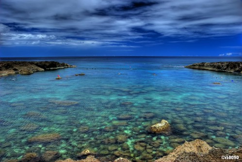 hawaii nikon paradise oahu cove lagoon snorkeling northshore ronnie hdr coralreef pupukea sharkscove beachcomb rono d80 nikond80 pupukeabeachpark proudlypinoy rbrono