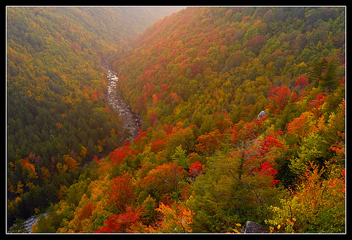 statepark autumn fall nature horizontal backlight landscape westvirginia blackwaterfalls blackwatercanyon photocontesttnc09