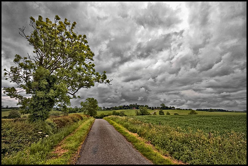 road trees sky grass clouds canon buildings geotagged village sigma hedge crop 1020mm embankment verge cowparsley 450d carltoncurlieu pdeee454 leceistershire geo:lat=52573625 geo:lon=0984489