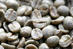 green coffee beans    MG 6737 