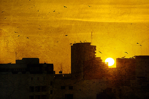 africa city light sunset sky sun colour birds port evening harbor scenery mood senegal dakar hl artlibre pentaxk10d lilion jmeszolybeatrix beatrixjourdan