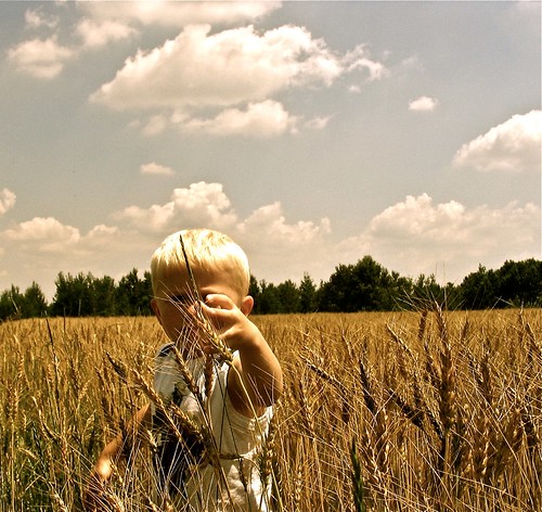 childhood field kids sky vintage wheat