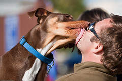 Jason Edward's dog Duke lays on a big sloppy wet tongue kiss. Dog show in Morro Bay, 10 May 2009.  Best of Bay Pooch Pageant