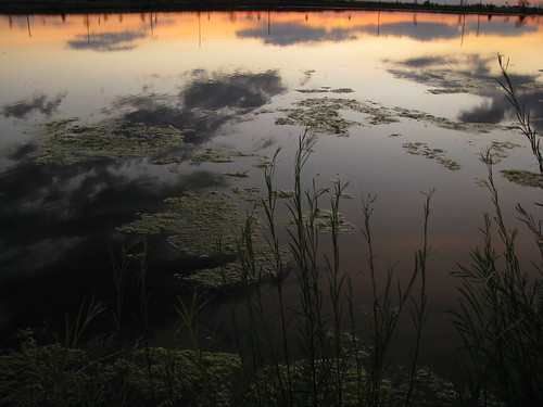 lake reflection reflections pond montana bozeman jontaylormontana