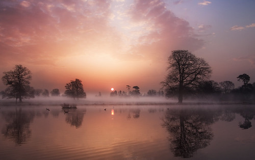 mist lake water misty clouds sunrise reflections dawn buckinghamshire slough berkshire kevday langleypark