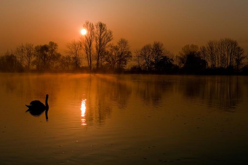 water silhouette sunrise geotagged wasser silhouettes sonne sonnenaufgang danube sonnenstrahlen donau sonnenlicht donauufer donauradwanderweg sihouetten klaus1953 geo:lat=483087 geo:lon=9869639