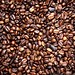 fresh roasted ethiopian moreno coffee beans    MG 6448