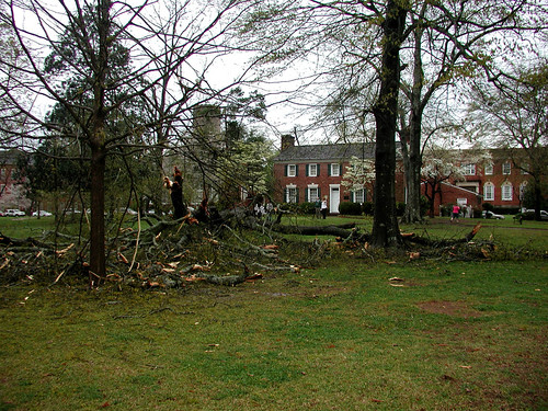 house storm tree al oak king library libraries alabama damage montevallo