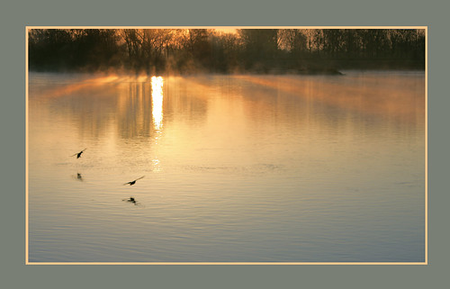 morning france sunrise river dawn duck europe 45 unescoworldheritage canard matin aurore fleuve aube beaugency loiret laloire régioncentre patrimoinemondialdelunesco nadcoz