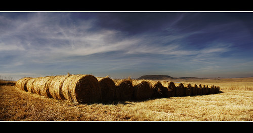 blue sky cloud detail photo amazing farm group stack roll hay bale hayrolls haybales lineup the 100commentgroup artofimages bestcapturesaoi thebestofcengizsqueezeme2groups