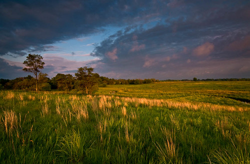 sunset sky nature grass clouds illinois scenic prairie 4thofjuly naperville omot illinoisforestpreserve springbrookprairieforestpreserve
