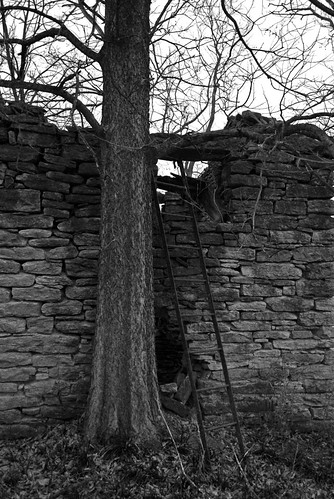 blackandwhite usa tree stone architecture indiana vernacular ladder lawrenceburg nikond40x