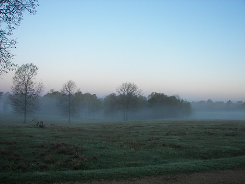 morning misty fog sunrise mississippi foggy ms prentiss