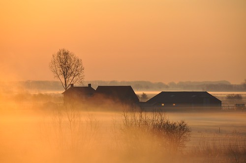 holland netherlands yellow fog jaune sunrise dawn nikon farm gelb nikkor dslr brouillard morningsky uiterwaarden gelderland catchycolorsyellow d90 leverdusoleil 18200vr platinumheartaward semopho artistoftheyearlevel4