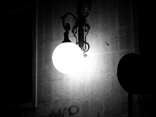 light bw white black blanco luz farola streetlight negro sphere lagartija esfera walllizard