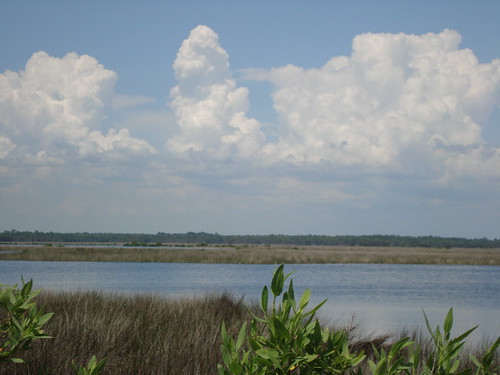 green gulfofmexico water grass clouds gulf florida marsh wetland crystalriver