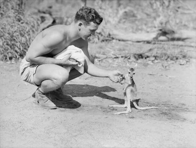 An American soldier with a joey, 1942