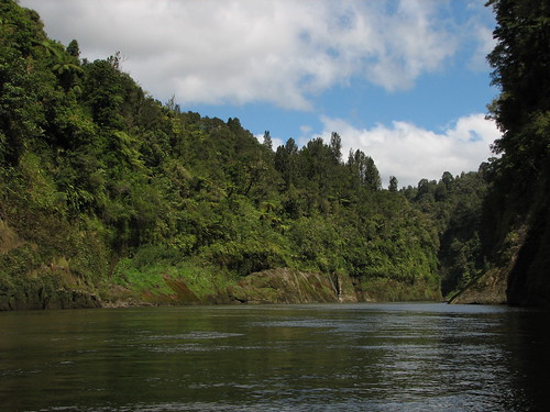 newzealand river tour canoe northisland whanganui bridgetonowhere