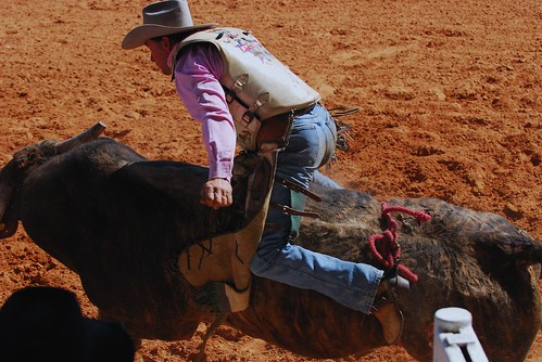 horses usa cowboys florida rodeo 2009 bullriding arcadia
