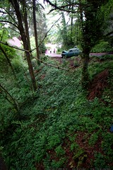 a car crashed down our hillside this morning    MG 4974 