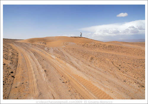 africa nature landscape geotagged mar sand desert morocco soussmassadrâa geo:lat=2985786900 geo:lon=616567220 deuxchasse