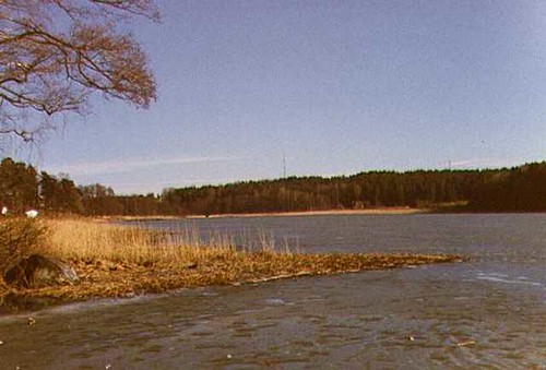 skog sjö norrtälje vass lommaren