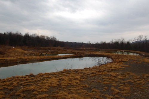 geotagged pond mine pennsylvania coal drainage geo:lat=40255769 geo:lon=78735075