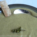 Broccoli Soup with Garlic and Olive Oil, slow-Cooked