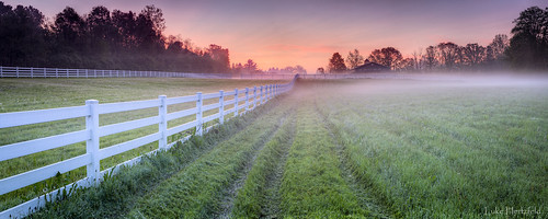 trees ohio horses grass fog rural sunrise fence outdoors dawn farm tracks pasture stable whitehouseohio