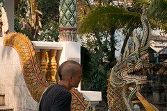 Dragon in Chiang Mai