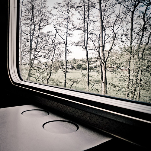 trees window train view sweden schweden sverige suéde svezia ramlösa skanelan norravallåkra norravallakra
