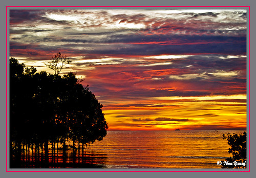 trees sunset red orange golden estuary malaysia a200 soe stork muar straitsofmalacca oceanshore fineartphotos sonydslr abigfave anawesomeshot ibnuyusuf theperfectphotographer johordarultakzim gorgeousskies mysonia bandarmaharani