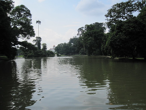 lake water gardens indonesia botanical java peaceful botanic botanicgarden botanicalgarden bogor