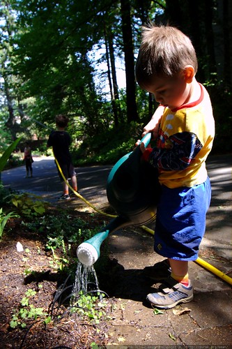 sequoia and nick watering whatever rachel is planting, and everything else they can reach    MG 4667