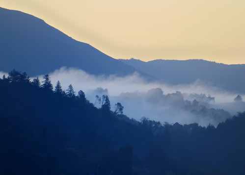 california trees mountains clouds sunrise cloverdale winecountry d300 sigma170500mm