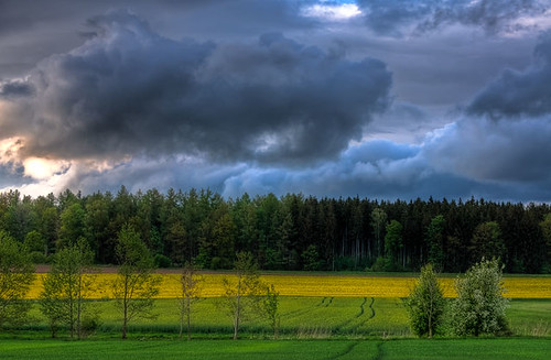yellow landscape geotagged spring gelb landschaft hdr rainclouds frühling rapsfeld regenwolken wolkenstimmung oberschwaben upperswabia klaus1953 geo:lat=48238109 geo:lon=9790921