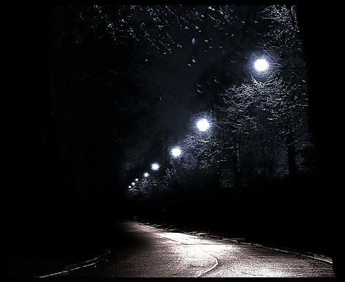 road street trees black wet rain night lights darkness streetlights curve shining shimmering theunknown wetness platinumphoto