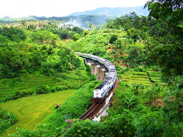 Parahyangan Train curving Cimeta Bridge, Padalarang