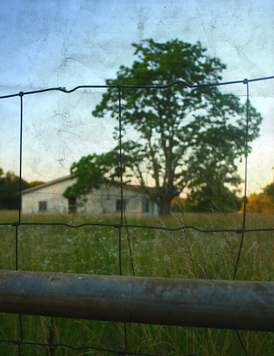 old sunset house building tree texture abandoned field grass canon fence dof ar bokeh conway worn arkansas aged 1855mm canonefs1855mm canon1855mm faulknercounty 40d canon40d roosterroad